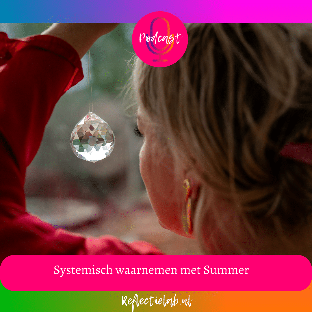 Systemisch waarnemen met Summer