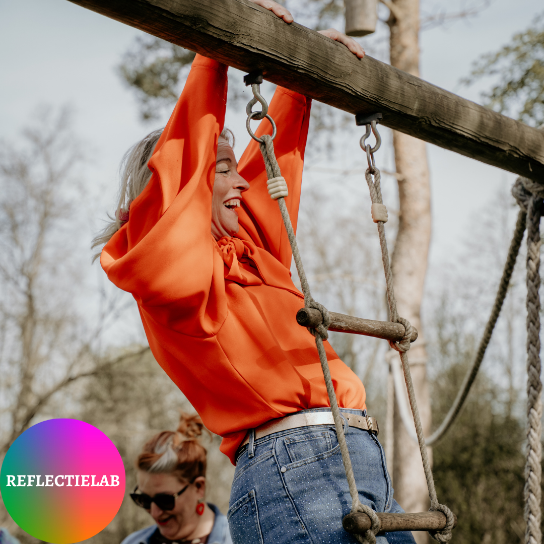 Wat is Reflectielab?